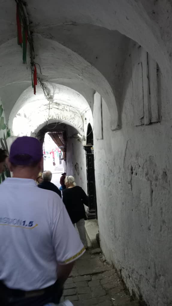 SUR LES TRACES DE LA BATAILLE D’ALGER : LES LIONS DANS LA MEMOIRE VIVANTE DE LA CASBAH