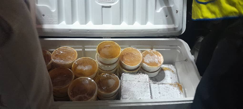 ALGER ICOSIUM ET LES LIONS UNIVERSITAIRES AZEL UNIS DANS LE FROID DE LA NUIT